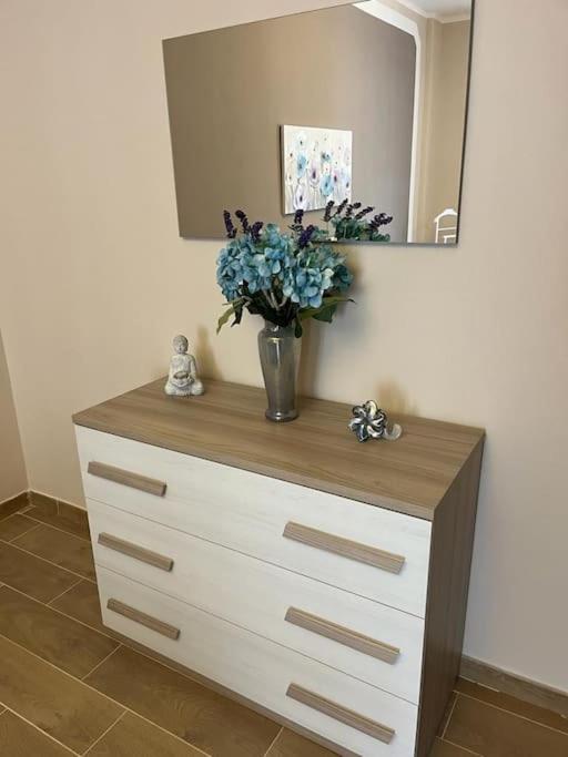 Attico Briccarello -Intero Appartamento- Elegant Suite With Free Wifi Near Inalpi Arena And Sporting Club Torino-Olimpyc Stadium Экстерьер фото